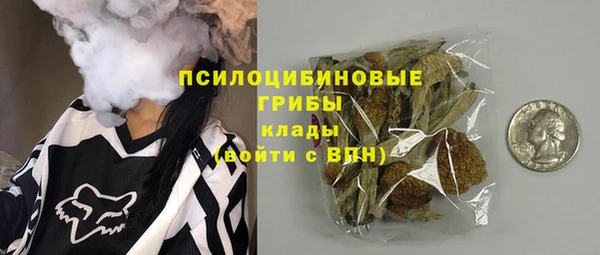 mdpv Касимов